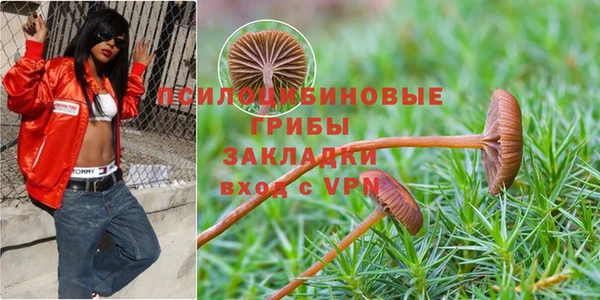 ALPHA PVP Козловка